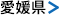 愛媛県