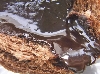 0128choco2