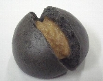 1029kumamoto4