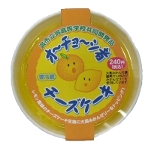 saisyuchieesecakepa