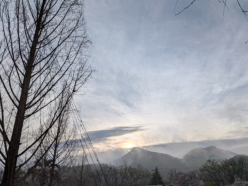 キャンプ地の朝