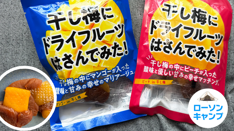 夏にピッタリ！干し梅にドライフルーツはさんでみた！