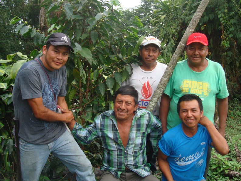 顔の見えるコーヒー豆