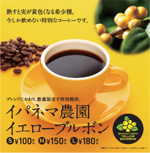 「イパネマ農園イエローブルボン」がついに3年目に