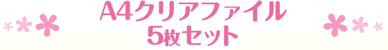 A4クリアファイル5枚セット