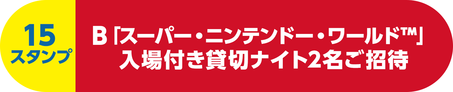 （15スタンプ）B「スーパー・ニンテンドー・ワールド&trade;」入場付き貸切ナイト2名ご招待