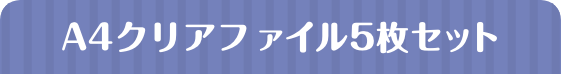 A4クリアファイル5枚セット