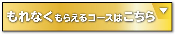 もれなくもらえるコースはこちら