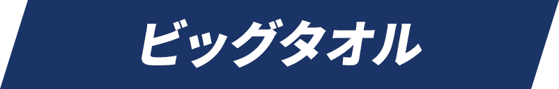 ビッグタオル