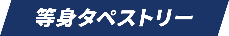 等身タペストリー