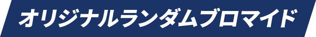 オリジナルランダムブロマイド