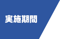 実施期間