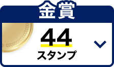 観戦チケットコース 金賞