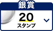 観戦チケットコース 銀賞