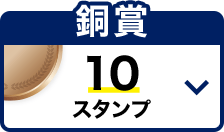 観戦チケットコース 銅賞