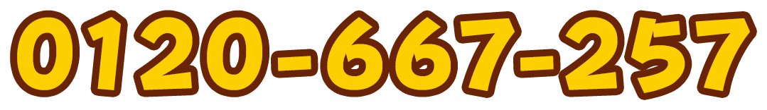 0120-667-257
