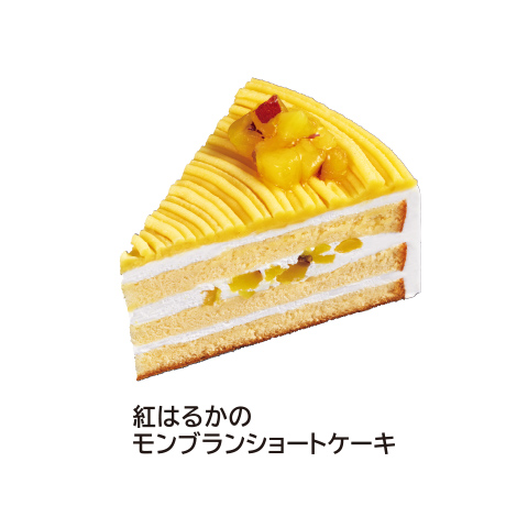 ショートケーキ詰め合わせ 8個