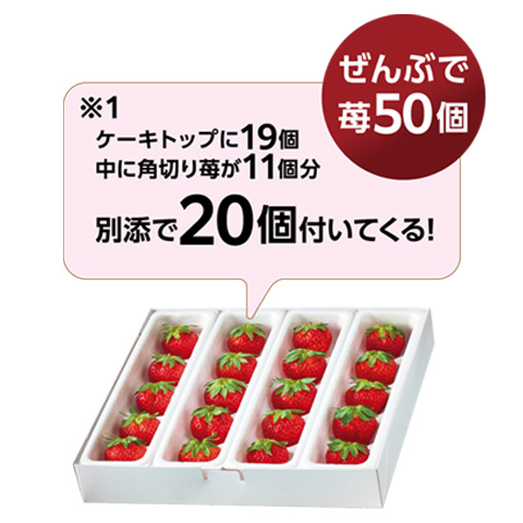 至福のストロベリークリスマス 6号