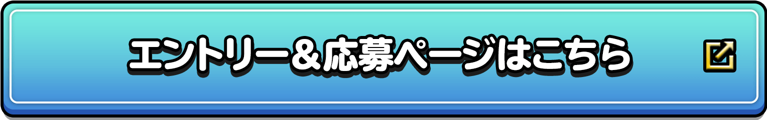 エントリー＆応募ページはこちら