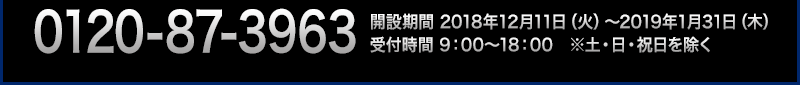 0120-87-3963 開設期間 2018年12月11日（火）〜2019年1月31日（木）受付時間 9：00～18：00　※土・日・祝日を除く