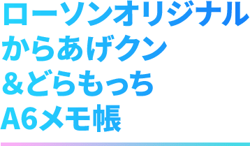 ローソンオリジナル からあげクン&どらもっち A6メモ帳