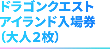 ドラゴンクエスト アイランド入場券(大人2枚)