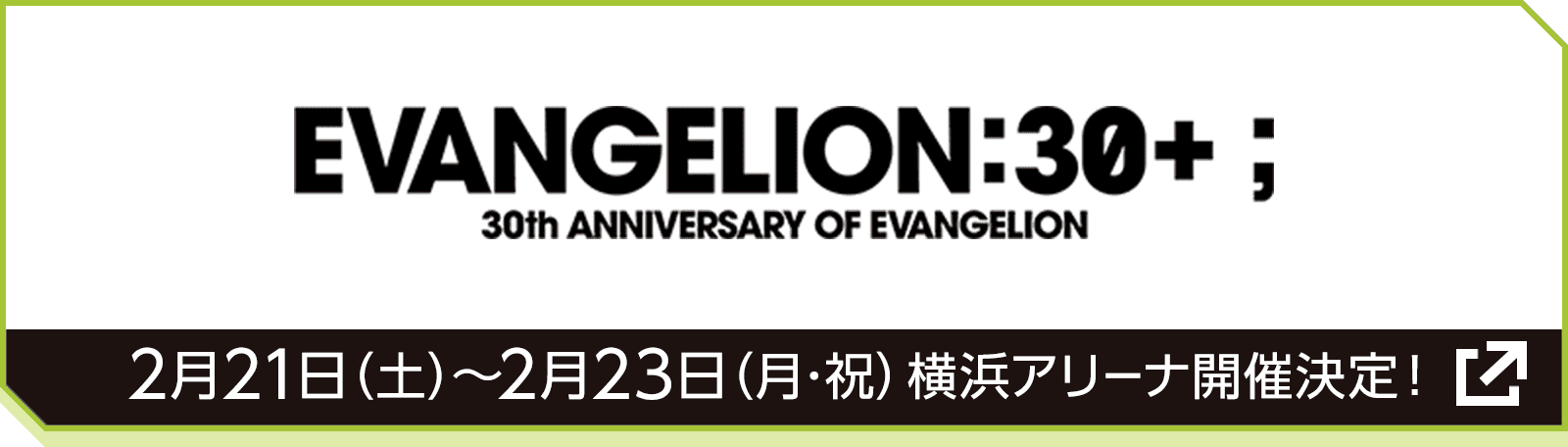 EVANGELION:30+； 30th ANNIVERSARY OF EVANGELION