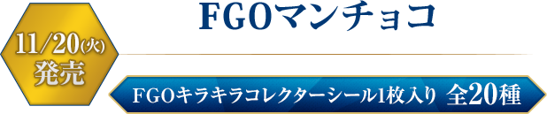 Fate/Grand Order FGOマンチョコ　11/20(火)発売　全9種 雑誌棚にて販売