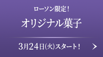 当選品　劇場版 Fate/stay night　キャリーケース　ローソン その他 通販正規店