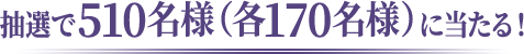 抽選で510名様（各170名様）に当たる！