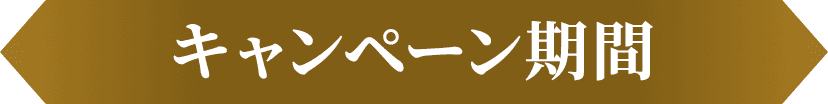 キャンペーン期間