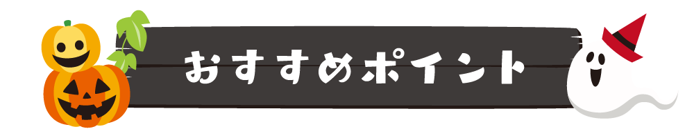 おすすめポイント