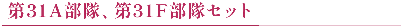 第31A部隊、第31F部隊セット