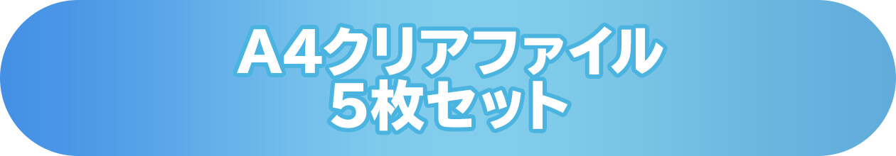 A4クリアファイル5枚セット