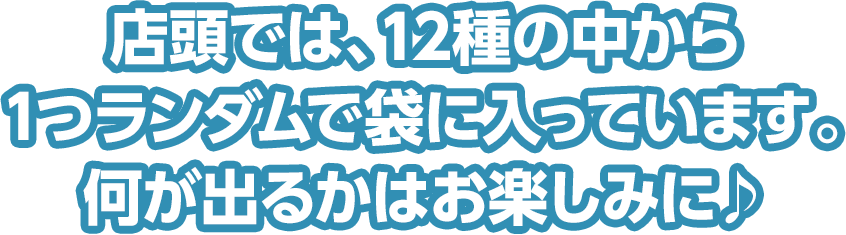 店頭では、12種の中から1つランダムで袋に入っています。何が出るかはお楽しみに♪