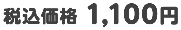 税込価格 1,100円