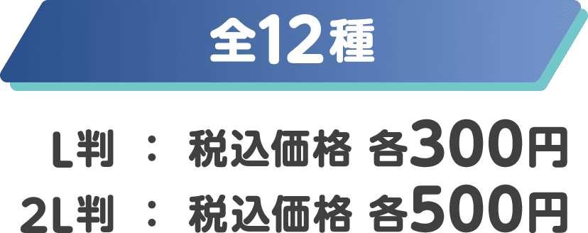 全12種 L判：税込価格 各300円/2L判：税込価格 各500円