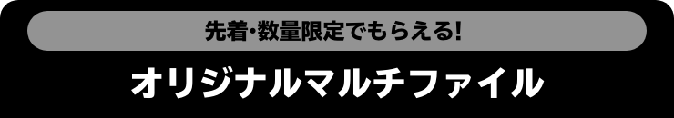 先着・数量限定でもらえる！ オリジナルマルチファイル