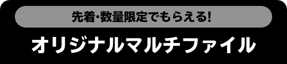 先着・数量限定でもらえる！ オリジナルマルチファイル