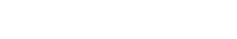 オリジナルプロデュースアイテム　からあげクン レギュラー