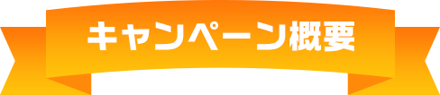 キャンペーン概要