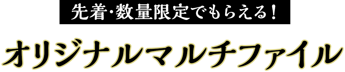 先着･数量限定でもらえる！オリジナルマルチファイル