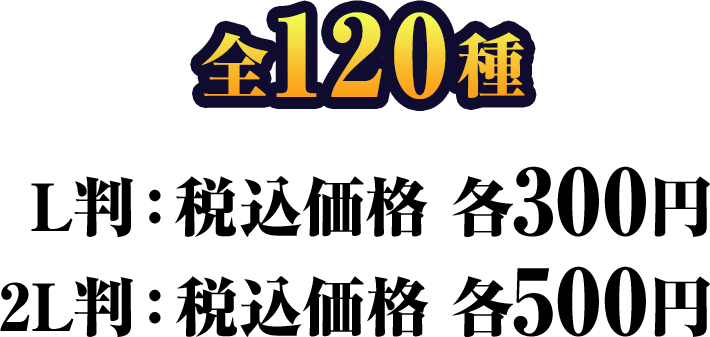 全120種（L判：税込価格 各300円/2L判：税込価格 各500円）