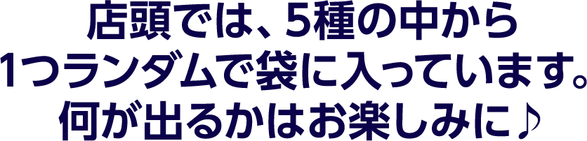 店頭では、5種の中から1つランダムで袋に入っています。何が出るかはお楽しみに♪