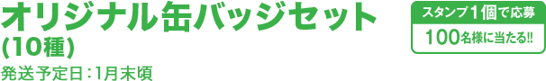 オリジナル缶バッジセット(10種) 発送予定日：1月末頃 スタンプ1個で応募100名様に当たる!!