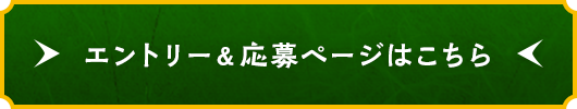 エントリー＆応募ページはこちら