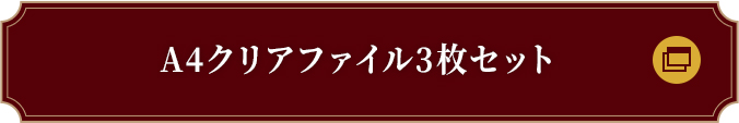 A4クリアファイル3枚セット