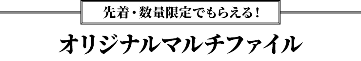 先着・数量限定でもらえる！オリジナルマルチファイル