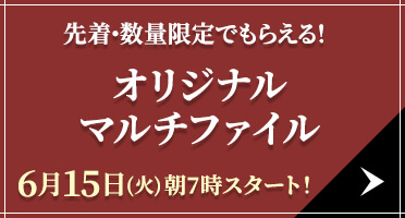 先着・数量限定でもらえる！ オリジナルマルチファイル