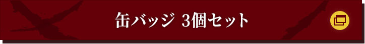 缶バッジ 3個セット